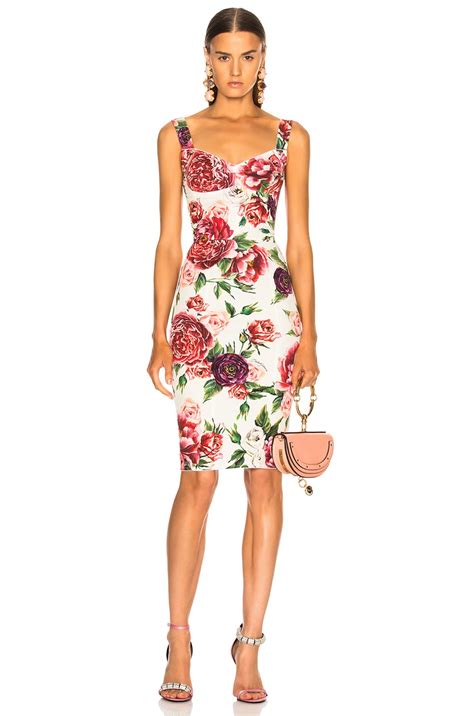 peony dolce gabbana|Dolce & Gabbana peony dress.